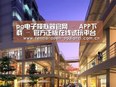 案例展示一(图1)