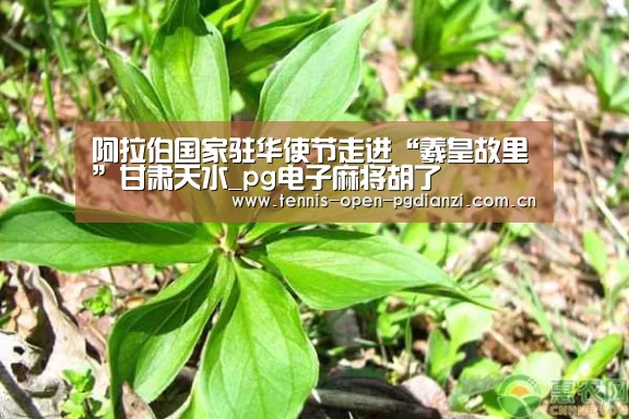 pg电子麻将胡了