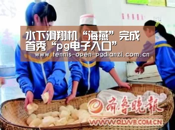 pg电子麻将胡了