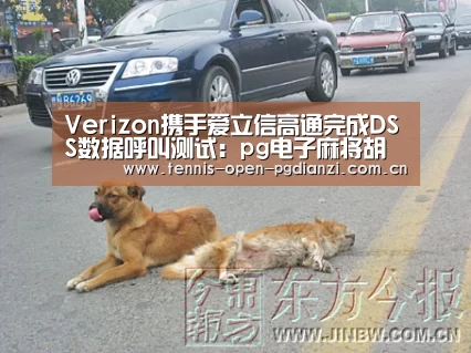 Verizon携手爱立信高通完成DSS数据呼叫测试:pg电子麻将胡了(图1) pg电子麻将胡了