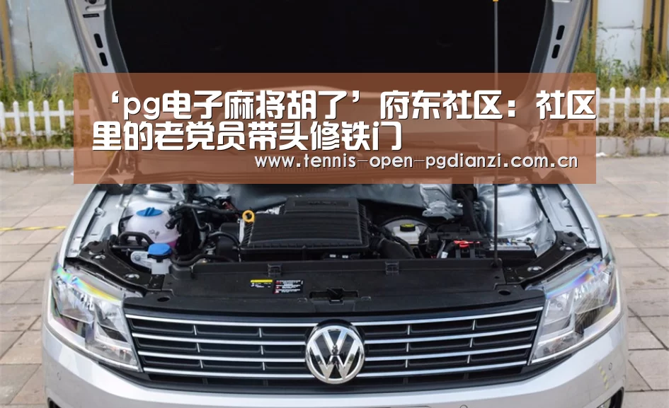 ‘pg电子麻将胡了’府东社区:社区里的老党员带头修铁门(图1) pg电子麻将胡了
