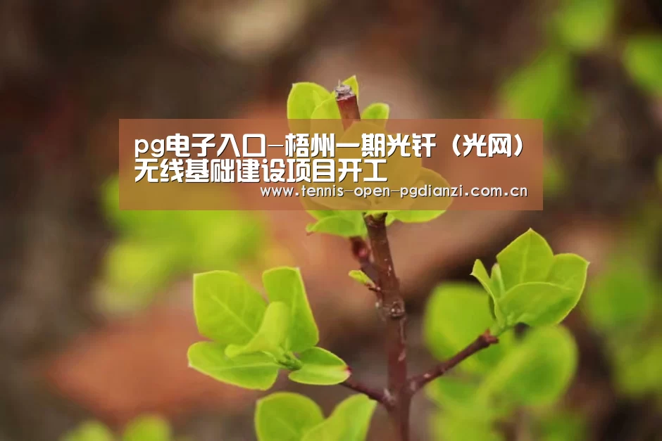 pg电子入口-梧州一期光纤(光网)无线基础建设项目开工(图2) pg电子入口