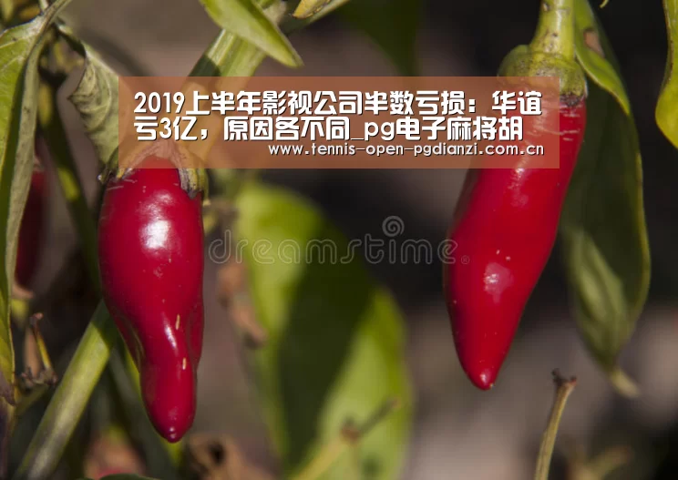 pg电子麻将胡了